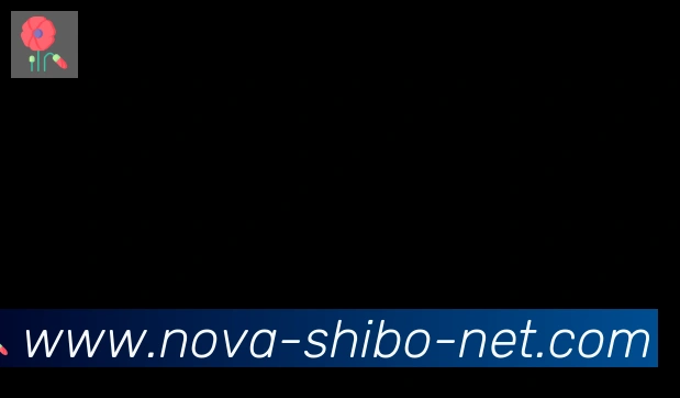 世博体育官网合作伙伴